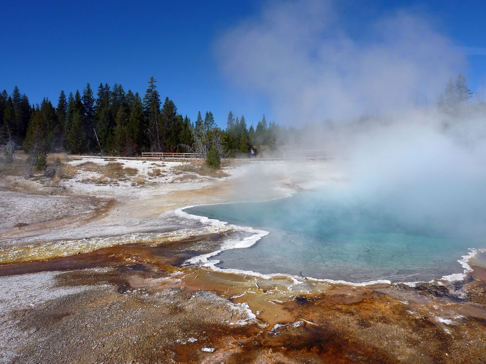 Yellowstone West Thumb Area (25).JPG